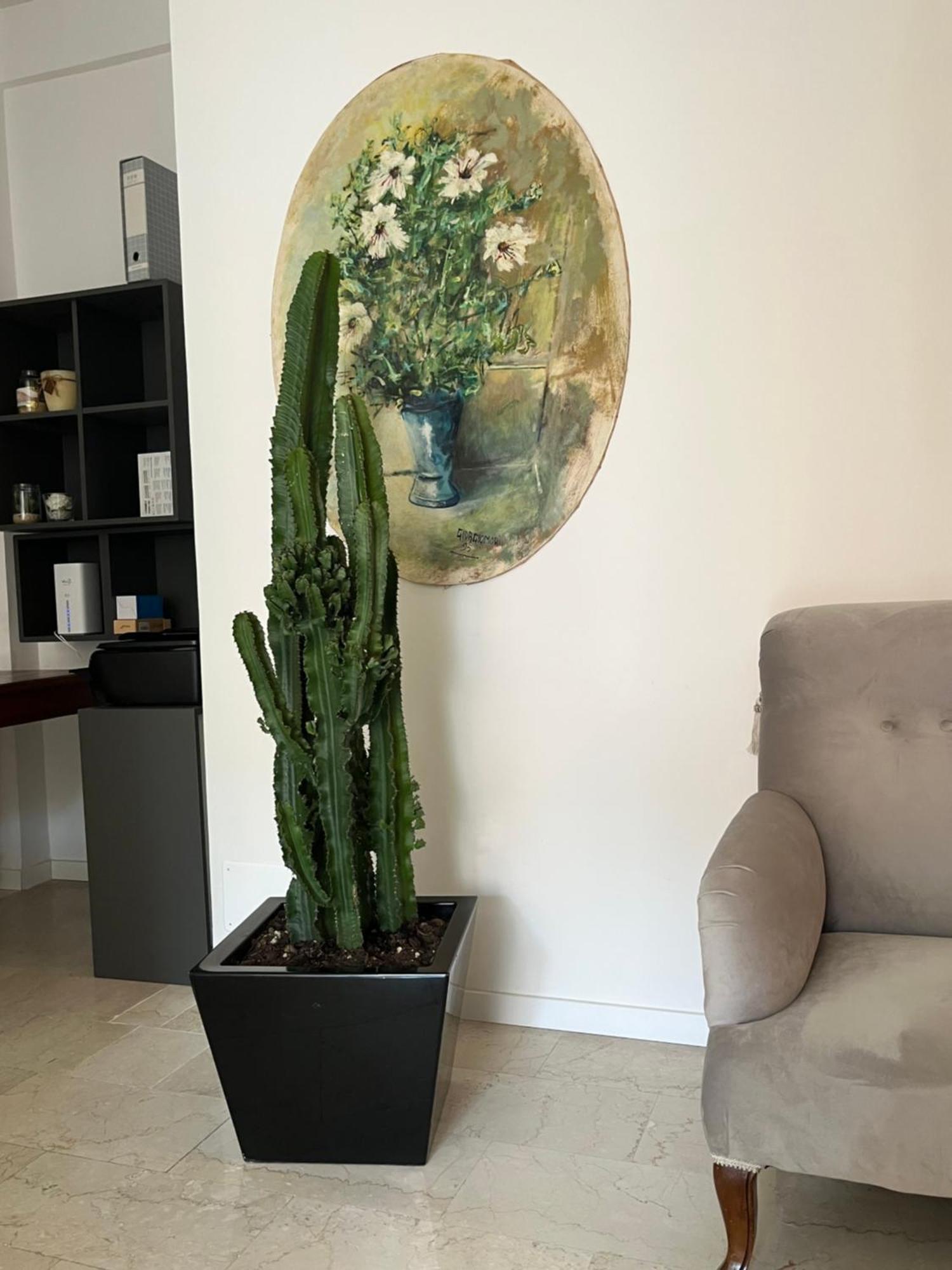Bed and Breakfast Fleur Blanche Verona Esterno foto